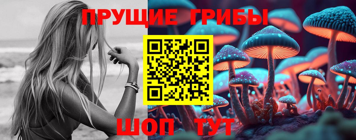 Псилоцибиновые грибы GOLDEN TEACHER Аксай